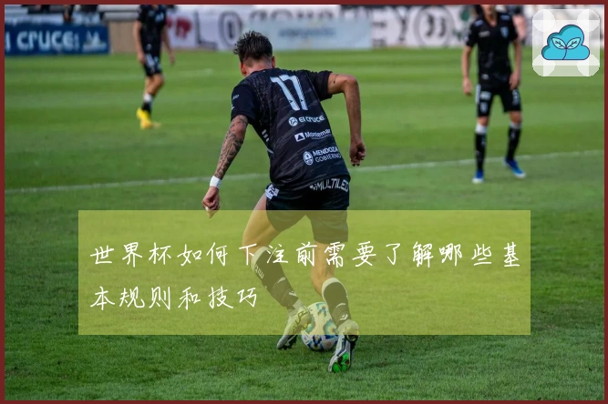 世界杯如何下注前需要了解哪些基本规则和技巧