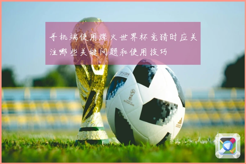 手机端使用烽火世界杯竞猜时应关注哪些关键问题和使用技巧