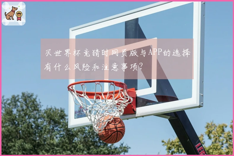 买世界杯竞猜时网页版与APP的选择有什么风险和注意事项？