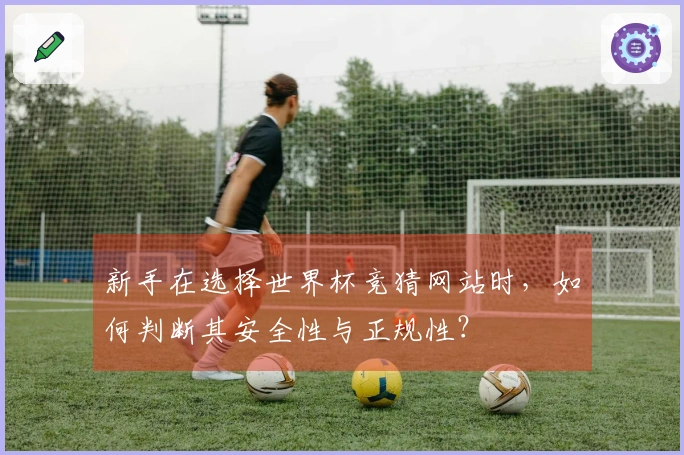 新手在选择世界杯竞猜网站时，如何判断其安全性与正规性？